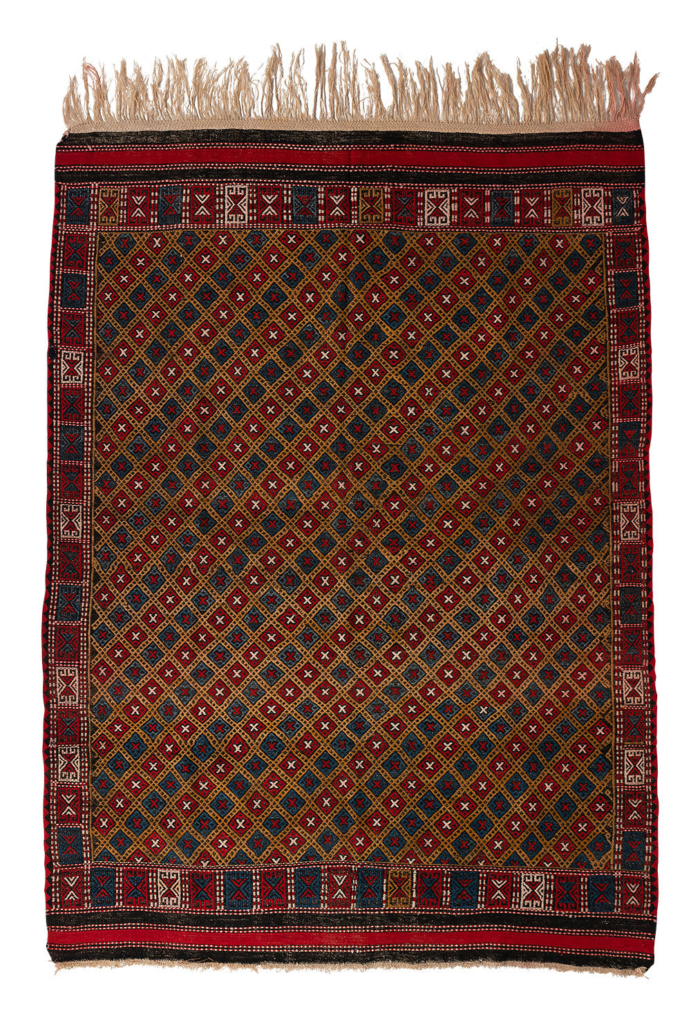 Sarı Tirnakli ( Yellow Nailed) Zili (Dirnak Zili) - Ayvacik Region